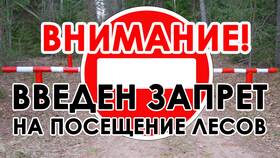 Что значит запрет на посещение лесов в Атлантик