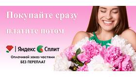 Как оплатить долг через Яндекс Сплит