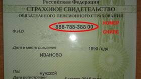 Как проверить данные СНИЛС онлайн в Атлантик