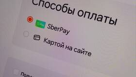 Как сделать доставку в приложении Додо в Атлантик