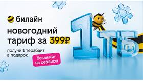 Как узнать остаток минут на тарифе Билайн в Атлантик