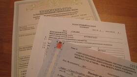 Как восстановить утерянные документы