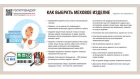Как выбрать форму юридического лица в Атлантик