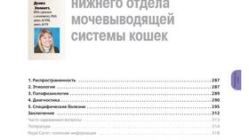 Значение приставки 